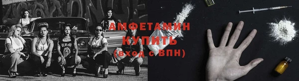 винт Абаза