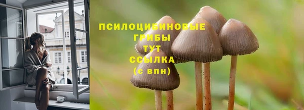 винт Абаза