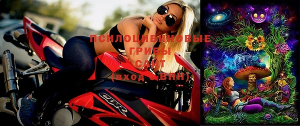 винт Абаза