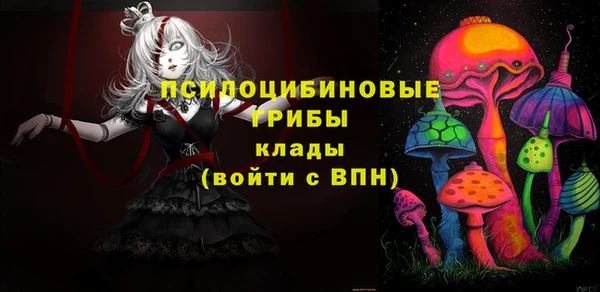 винт Абаза