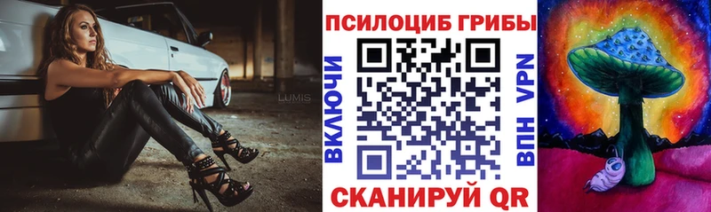 Галлюциногенные грибы Psilocybine cubensis  Верхоянск 